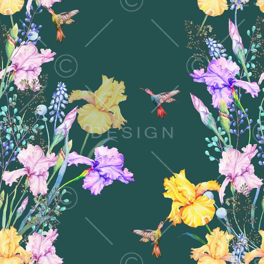 鸢尾花印花华亿平台图片