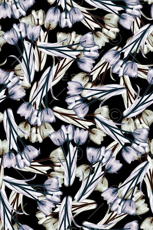 黑底花卉印花华亿平台图片