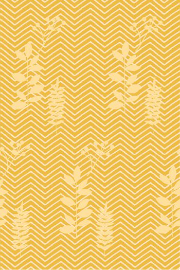 959089-c-qy-171020-01C