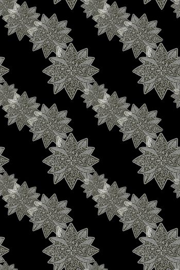 959317-171026  11721nz-6