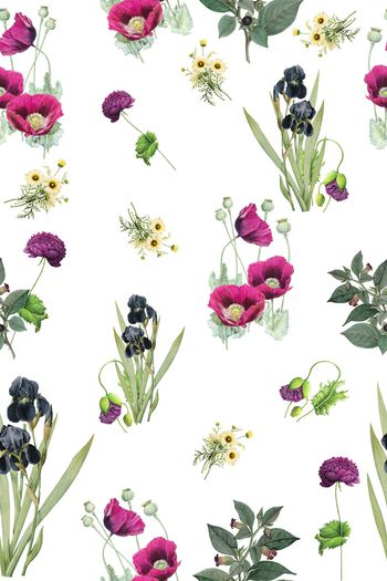 960124-罂粟花朵1