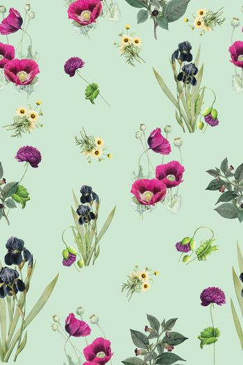 960125-罂粟花朵2