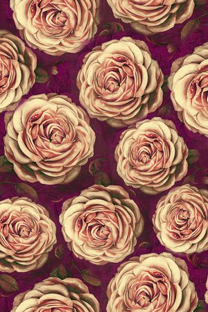 月季花印花华亿平台图片