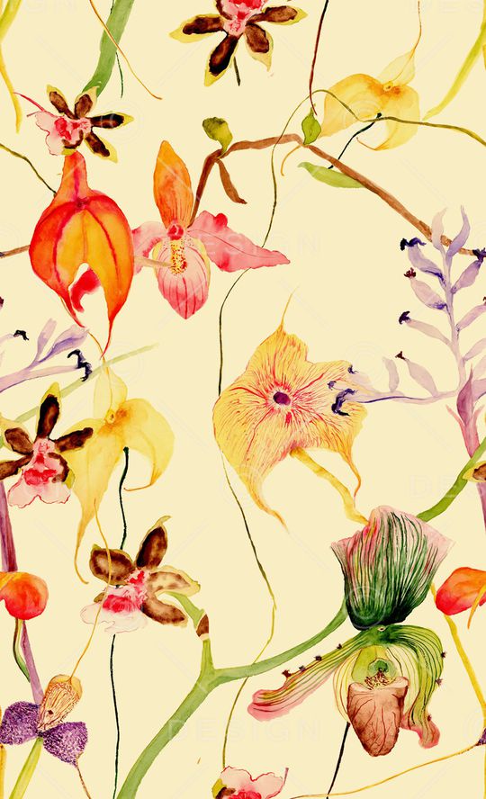 女装印花华亿平台图片