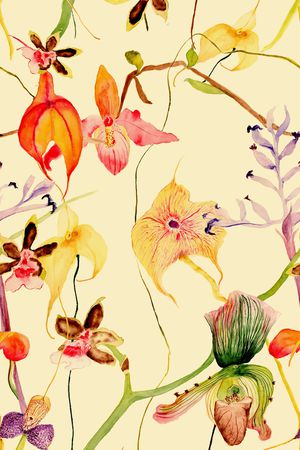 女装印花华亿平台图片