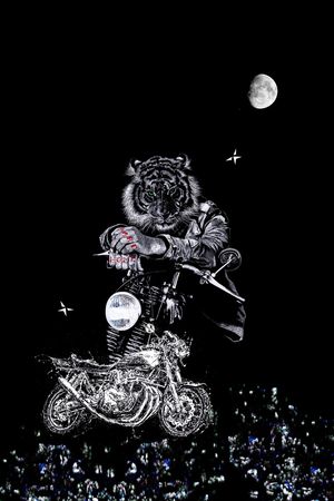 线条印花华亿平台图片