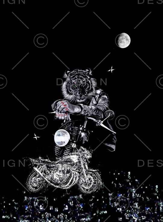 线条印花华亿平台图片