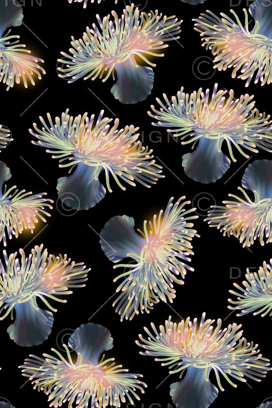 海葵印花华亿平台图片