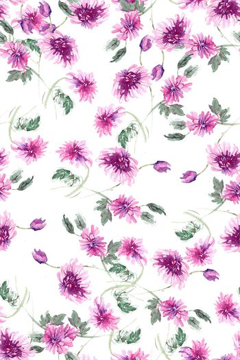 961671-紫色菊花1