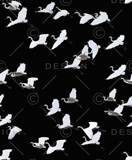 鸟印花华亿平台图片