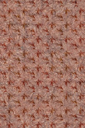 肌理印花华亿平台图片