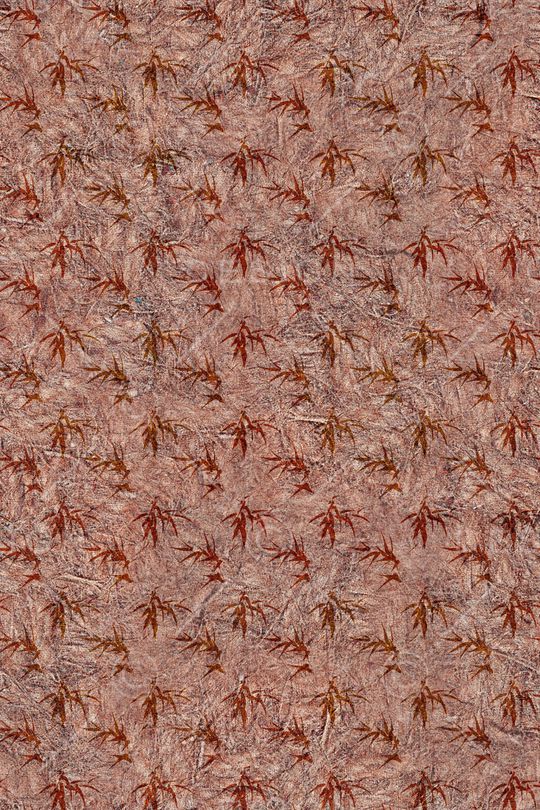 肌理印花华亿平台图片