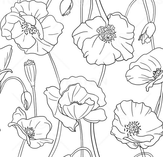 黑白华亿平台印花华亿平台图片