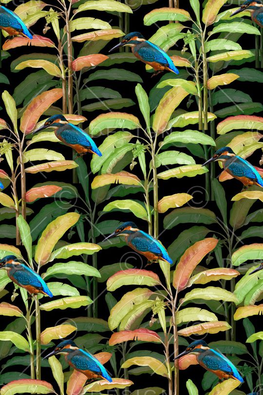 动物印花华亿平台图片