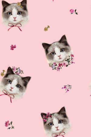 猫印花华亿平台图片