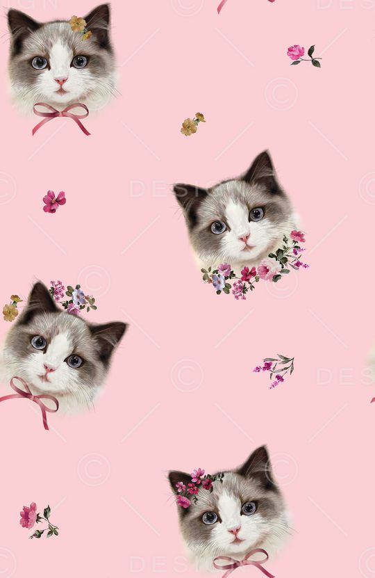 猫印花华亿平台图片