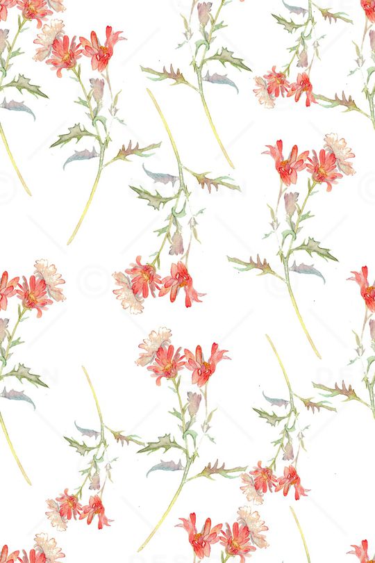 植物印花华亿平台图片