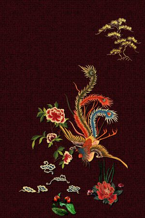 羽毛印花华亿平台图片