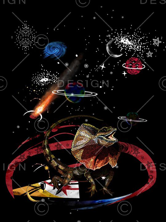 蜥蜴印花华亿平台图片