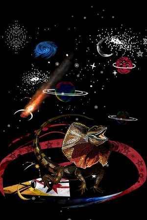 蜥蜴印花华亿平台图片