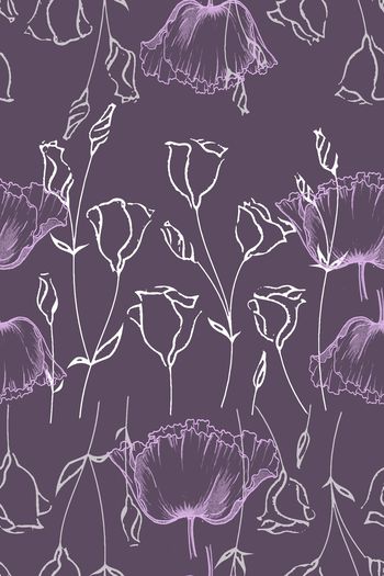 963855-171105-rose-1-00