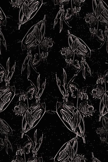 963942-171105-hbh-1-00