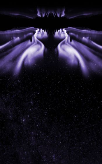 963986-FLZ17-11-29...