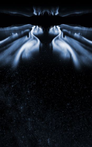 963987-FLZ17-11-29..