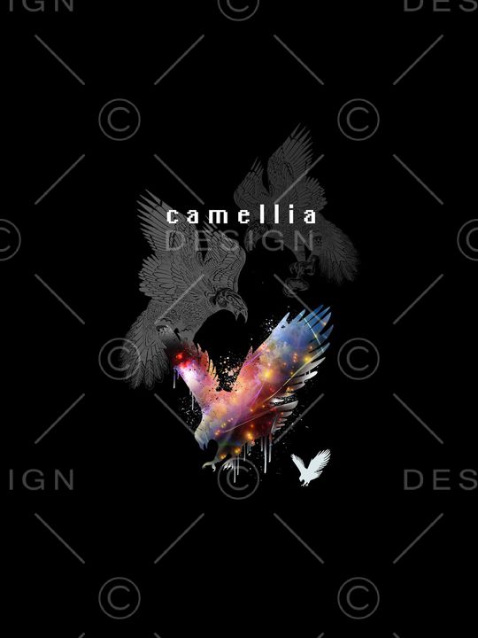 黑白华亿平台印花华亿平台图片