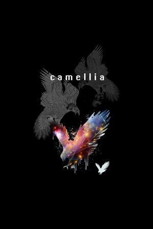 黑白华亿平台印花华亿平台图片