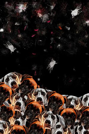 数码华亿平台印花华亿平台图片