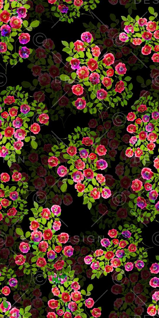 黑底花卉印花华亿平台图片