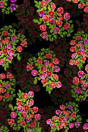 黑底花卉印花华亿平台图片