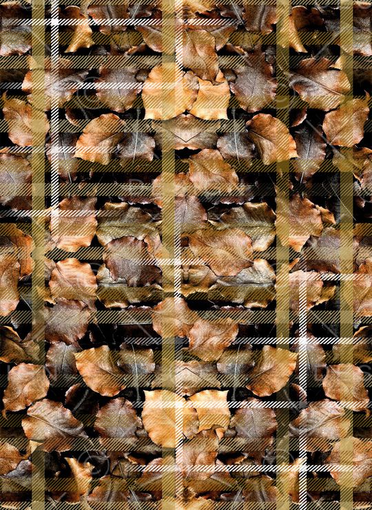 秋冬华亿平台印花华亿平台图片