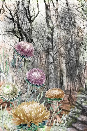 民族风印花华亿平台图片