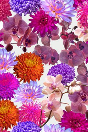 清爽底花卉印花华亿平台图片