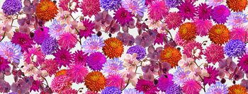 清爽底花卉印花华亿平台图片