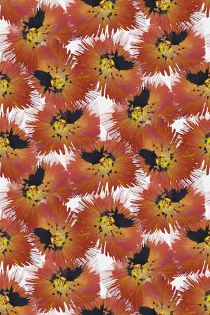 泼墨印花华亿平台图片