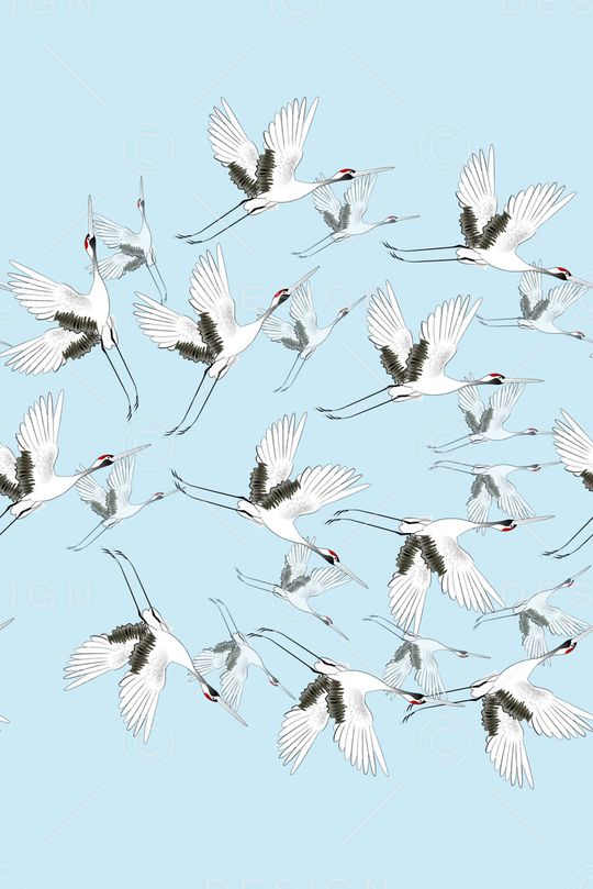 动物花卉印花华亿平台图片