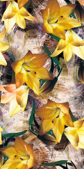 淑女印花华亿平台图片