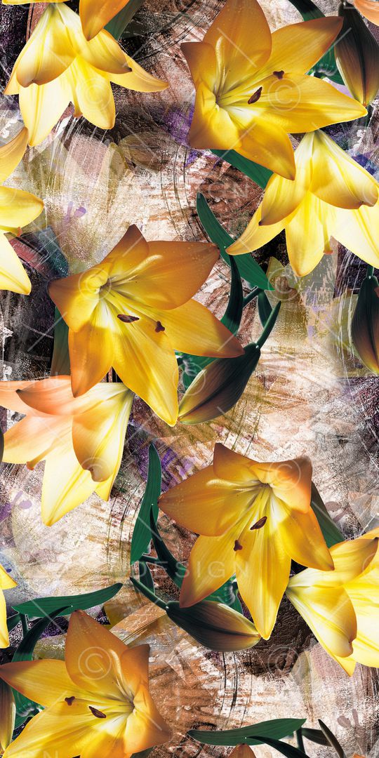 淑女印花华亿平台图片