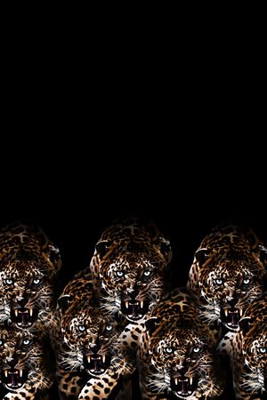 潮牌印花华亿平台图片