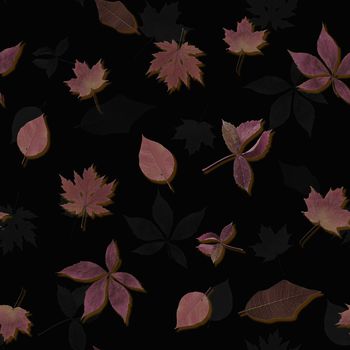 黑底花卉印花华亿平台图片