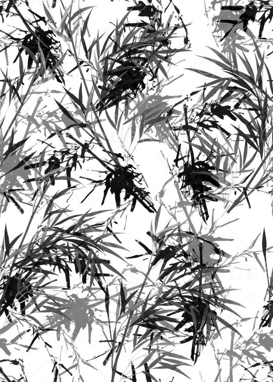 女装印花华亿平台图片