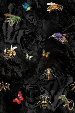 男装印花华亿平台图片