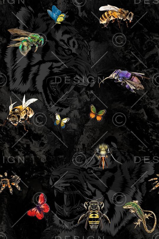 男装印花华亿平台图片