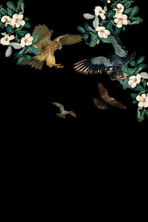 鸟印花华亿平台图片