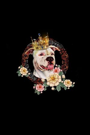 男装印花华亿平台图片