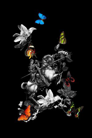 蝴蝶印花华亿平台图片