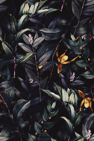 条纹印花华亿平台图片